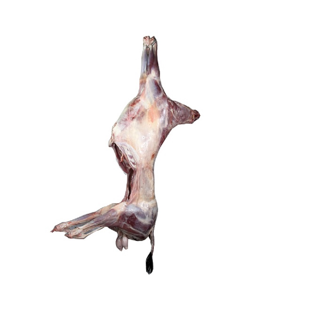 MUTTON - WHOLE - RAW